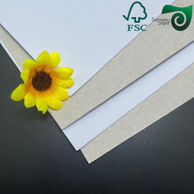 250gsm 400gsm CCNB Carton Board Clay Coated News Back  Duplex Cardboard For Freezer Food Packaging