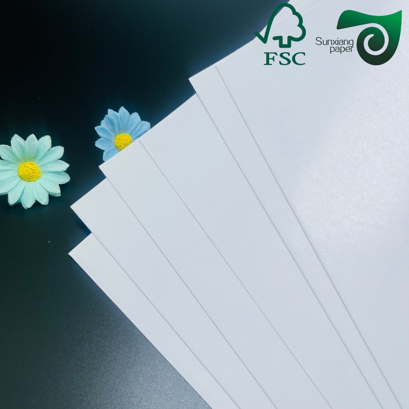 FSC C2S Coated Two Sides Matte   Glossy Coated Art Board 80G 115G  635mm 900mm