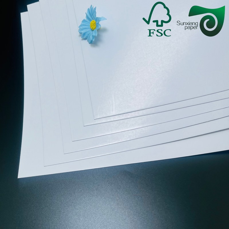 FSC 250gsm Glossy Text Cover Paper  610mm 860mm, High Brightness For Superior Printability