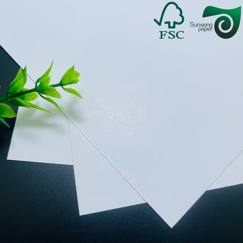 High Brightness White Cardboard Roll Gravure Printing Compatible 120gsm-320gsm for Packaging and Printing