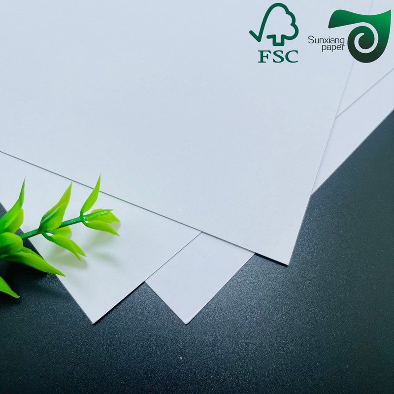FSC 100gsm 300gsm Wood Pulp Matte Coated Paper 86cm 61cm For Offset Printing