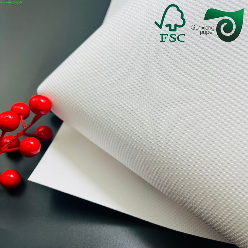 160gsm 180gsm Thick Colored Embossed Leather Grain Bristol Cover Paper