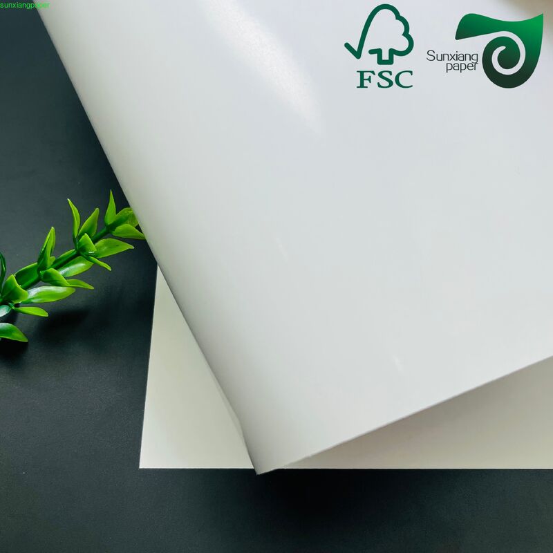 FSC Coated Duplex Stone Paper 100 400μM Recycled Waterproof Double Sided Coated Board