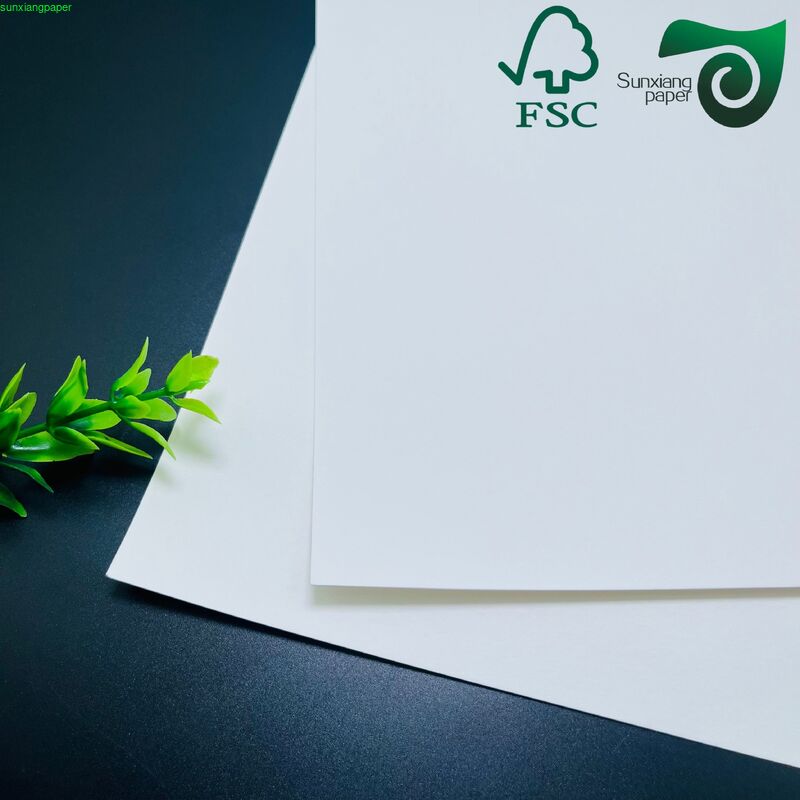 FSC C1S One Side Coated FBB Ivory Board 18pt Tree Free Recyclable White Cardboard