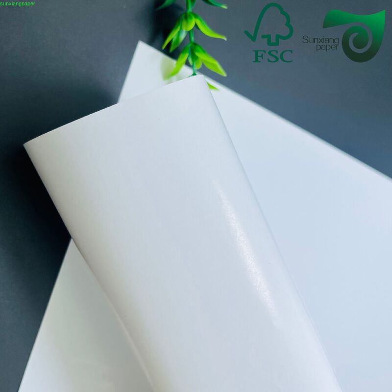 180gsm 350gsm Food Grade PE Coated Cupstock Paper Roll  For Disposable Paper Cup