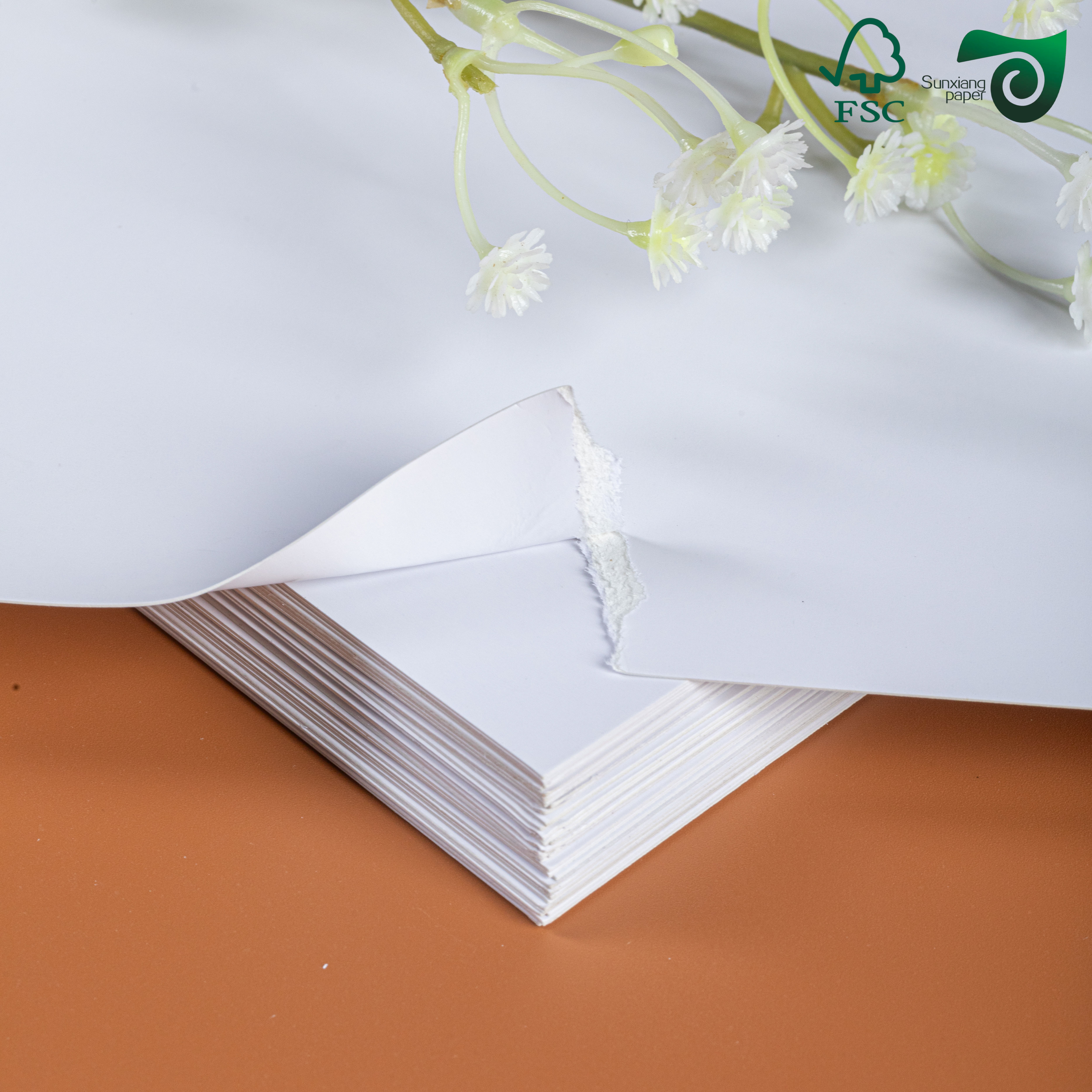 250gsm 300gsm C2S Art Board Glossy Cover Paper Brochures Magazines Book ...
